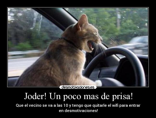 carteles gatococheprisacojonescarnetdesmotivacion desmotivaciones