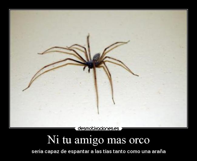 Ni tu amigo mas orco - seria capaz de espantar a las tías tanto como una araña