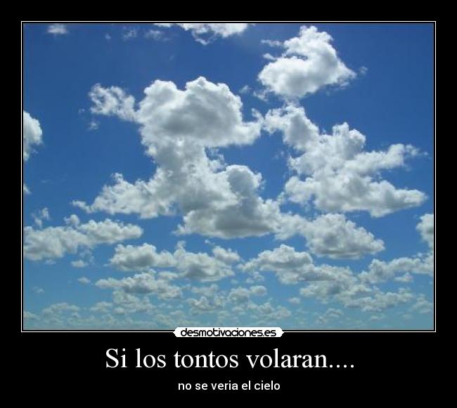 Si los tontos volaran.... -