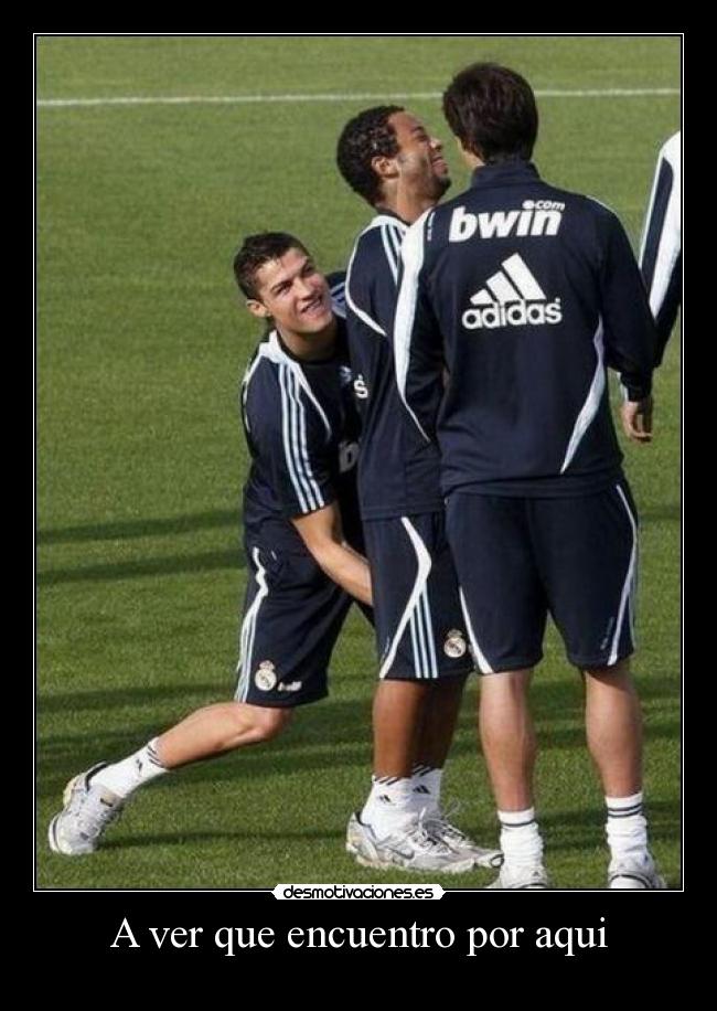 A ver que encuentro por aqui - 