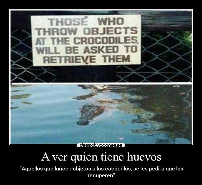 A ver quien tiene huevos -