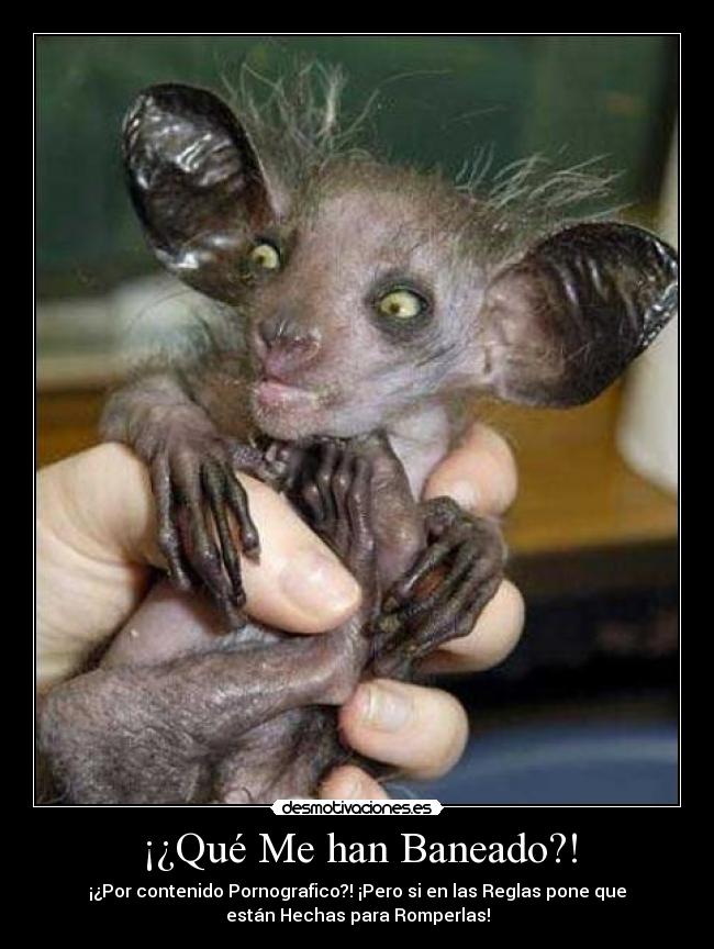 ¡¿Qué Me han Baneado?! -