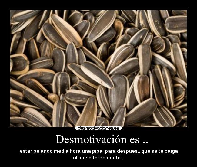 carteles pipas desmotivaciones