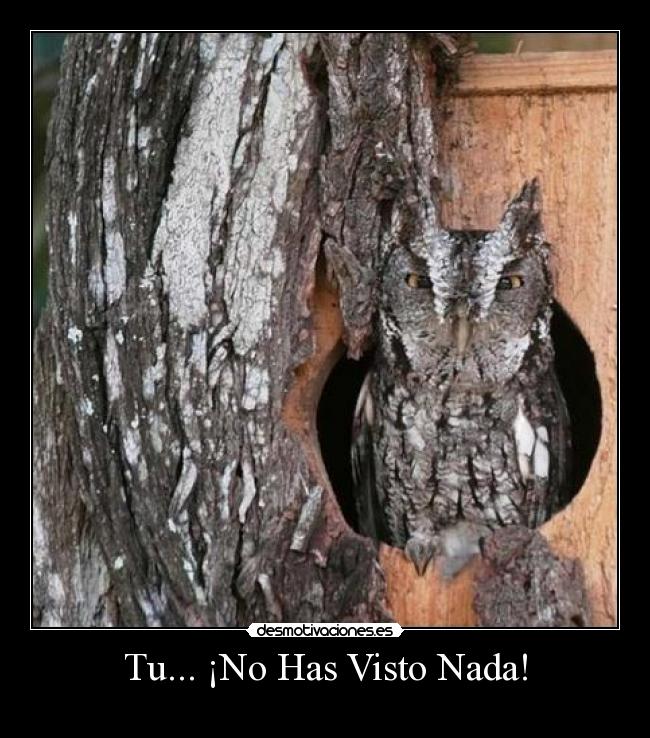 carteles  has visto nada dr4c096 desmotivaciones
