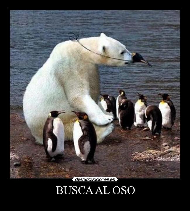 BUSCA AL OSO - 