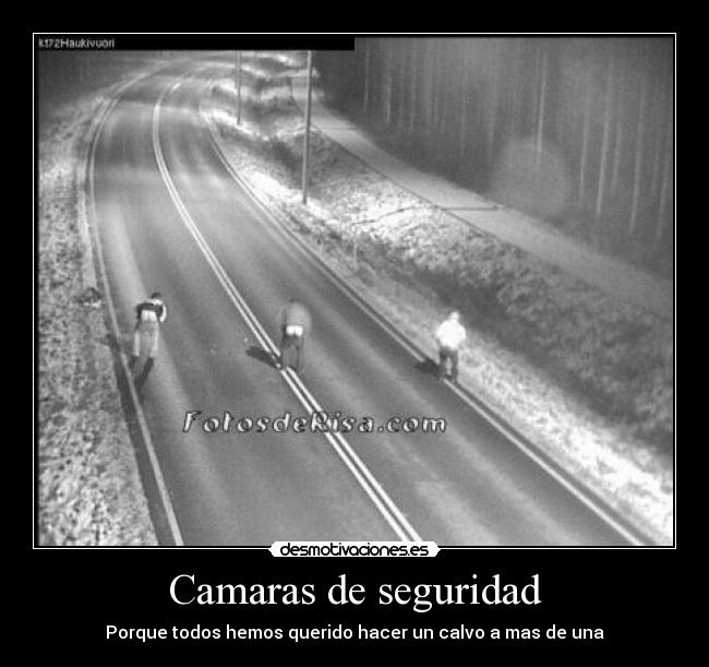 carteles camara calvo desmotivaciones