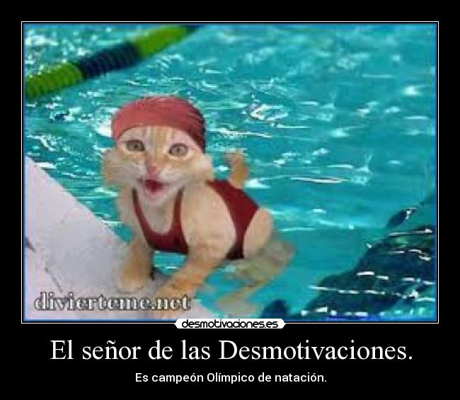 El señor de las Desmotivaciones. - Es campeón Olímpico de natación.