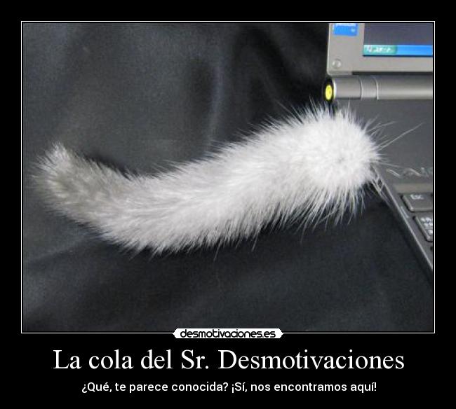 La cola del Sr. Desmotivaciones - ¿Qué, te parece conocida? ¡Sí, nos encontramos aquí!