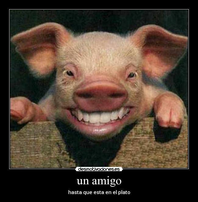 un amigo -