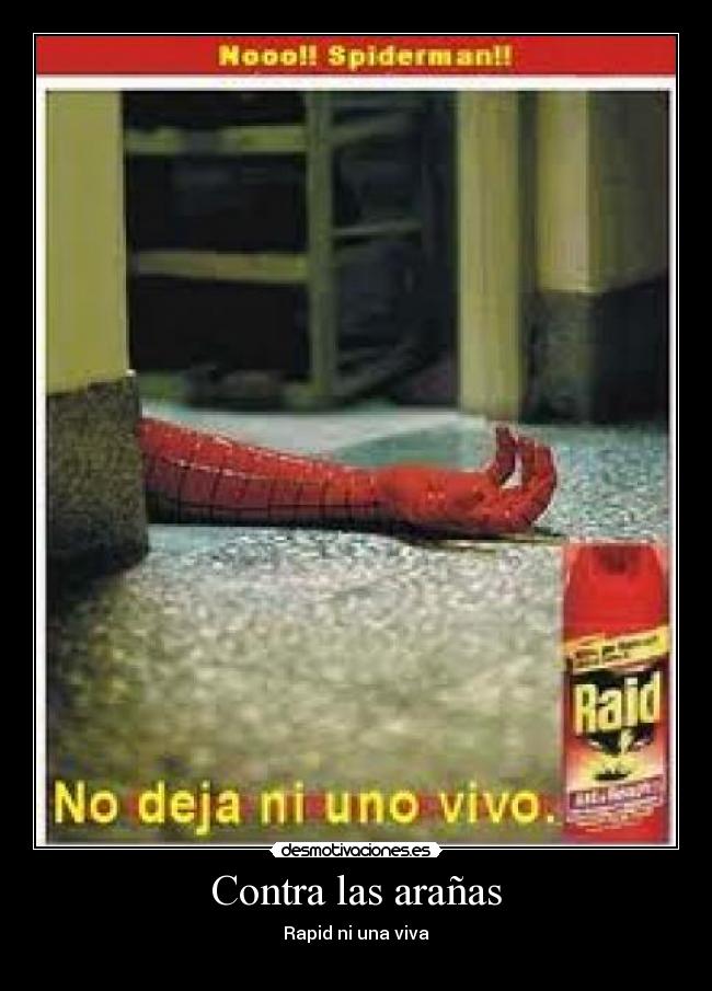 Contra las arañas - Rapid ni una viva
