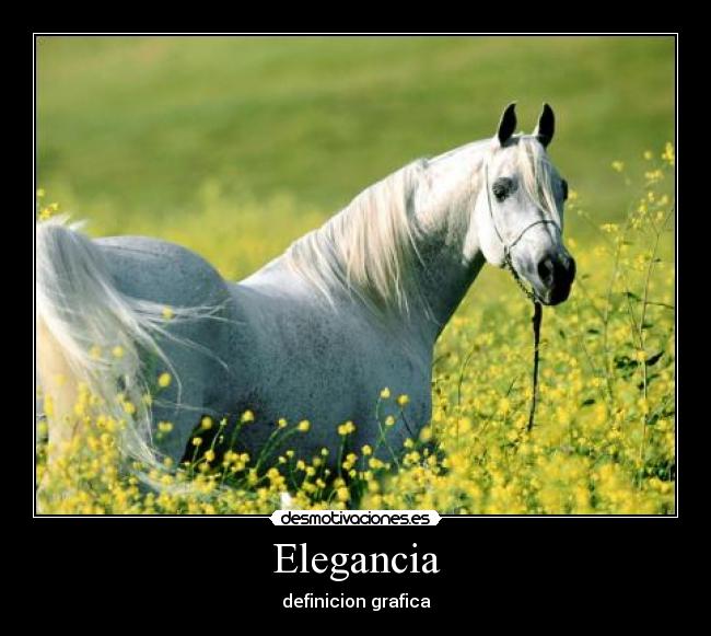 Elegancia -