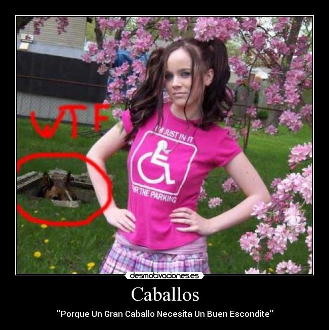 Caballos - Porque Un Gran Caballo Necesita Un Buen Escondite