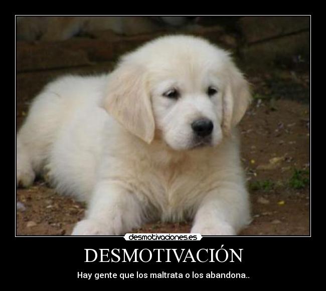 DESMOTIVACIÓN - 