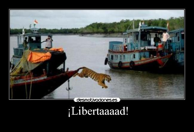 carteles libertad planblive desmotivaciones