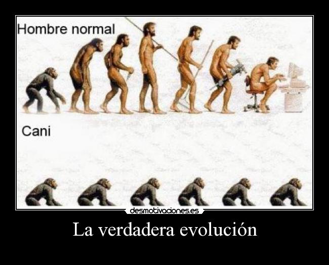 carteles planblive evolucion canis desmotivaciones