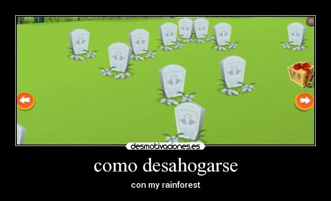 como desahogarse - con my rainforest