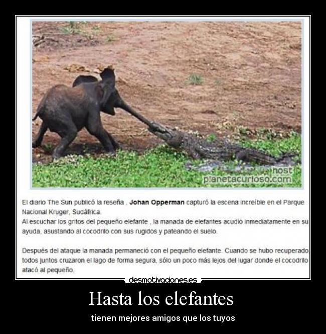 carteles planblive desmotivaciones