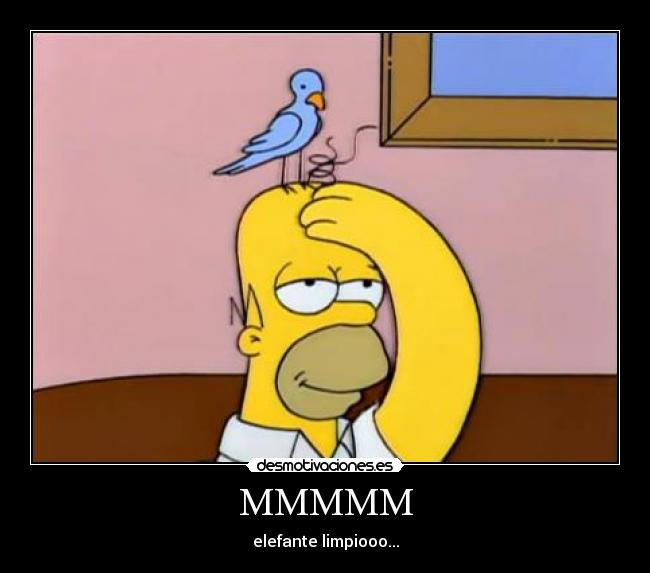 MMMMM - elefante limpiooo...
