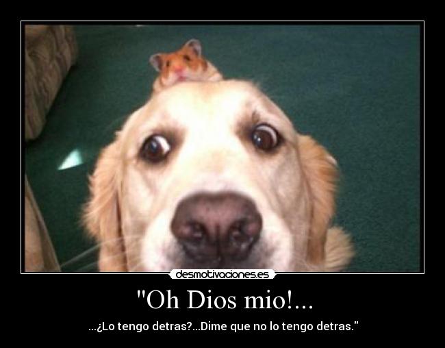 Oh Dios mio!... - ...¿Lo tengo detras?...Dime que no lo tengo detras.