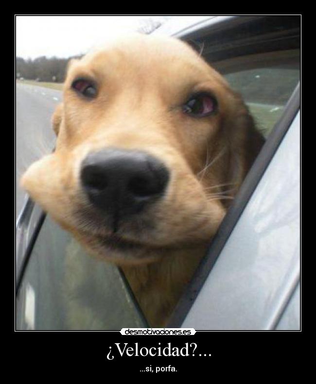 ¿Velocidad?... - ...si, porfa.