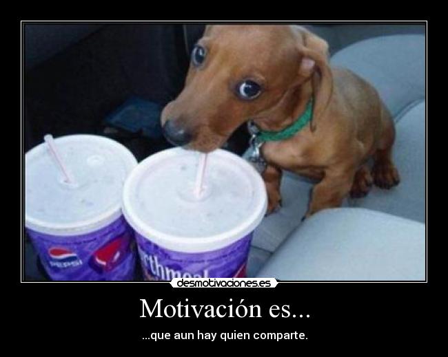 Motivación es... - ...que aun hay quien comparte.