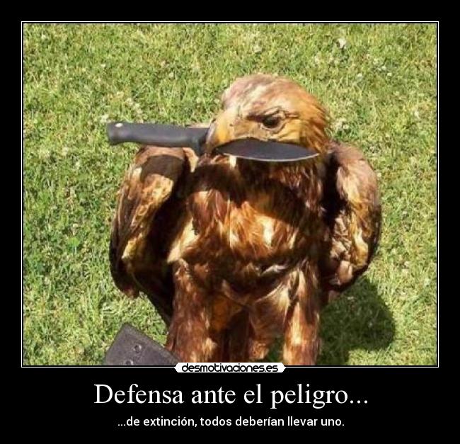Defensa ante el peligro... - ...de extinción, todos deberían llevar uno.
