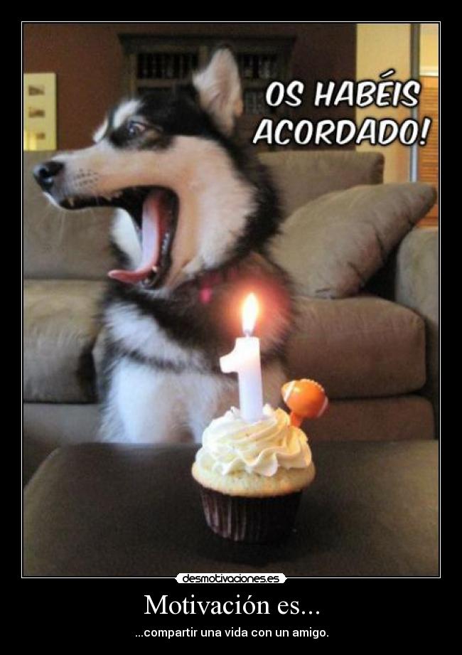 Motivación es... - ...compartir una vida con un amigo.