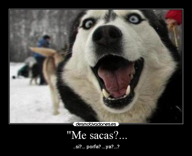 Me sacas?... - 
