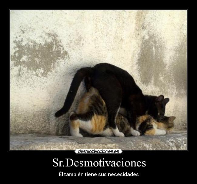 Sr.Desmotivaciones - Él también tiene sus necesidades