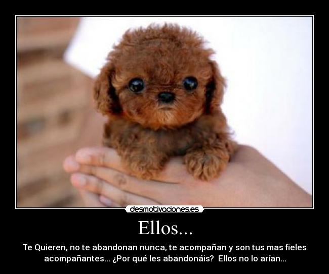 Ellos... -