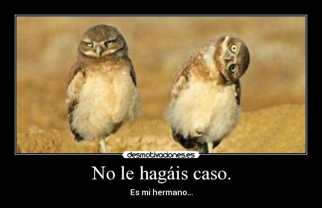 No le hagáis caso. - Es mi hermano...