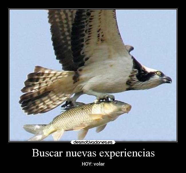 Buscar nuevas experiencias - HOY: volar