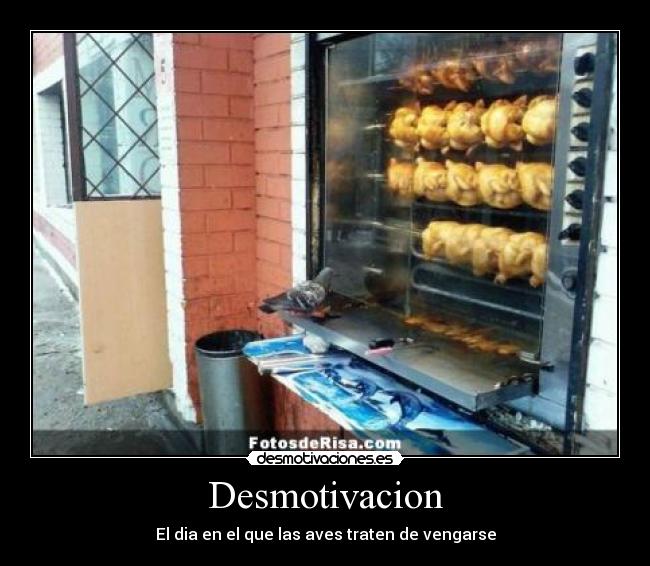 Desmotivacion - El dia en el que las aves traten de vengarse