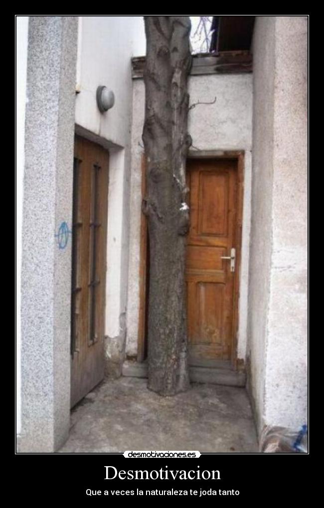 Desmotivacion -