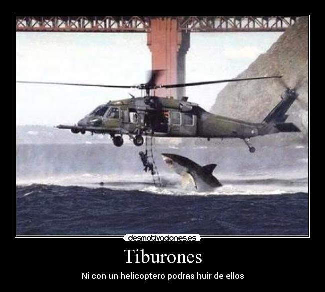 Tiburones - Ni con un helicoptero podras huir de ellos