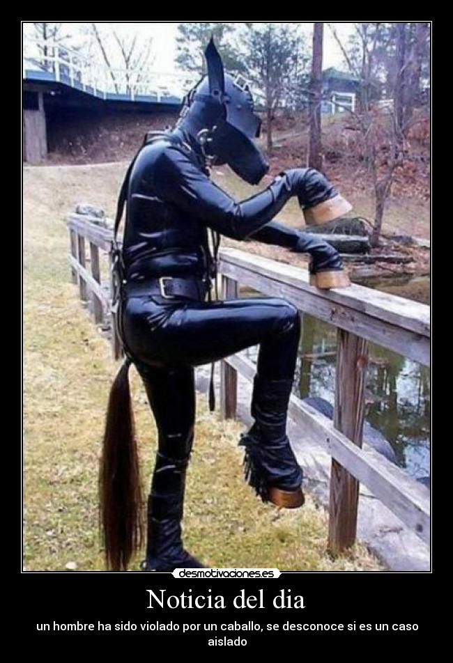 Noticia del dia - un hombre ha sido violado por un caballo, se desconoce si es un caso aislado