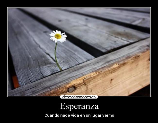 carteles esperanza lugar muerto vida bien desmotivaciones