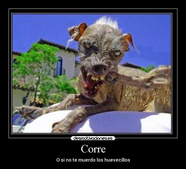 Corre - 