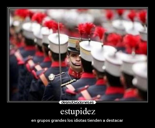 estupidez -