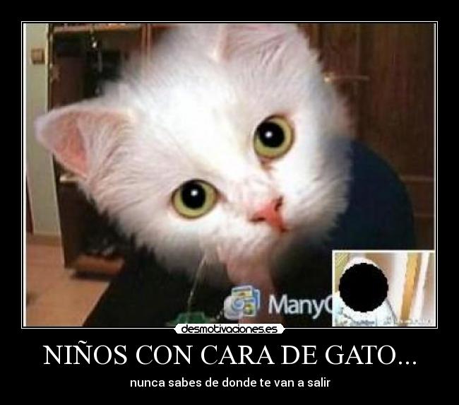 NIÑOS CON CARA DE GATO... - 