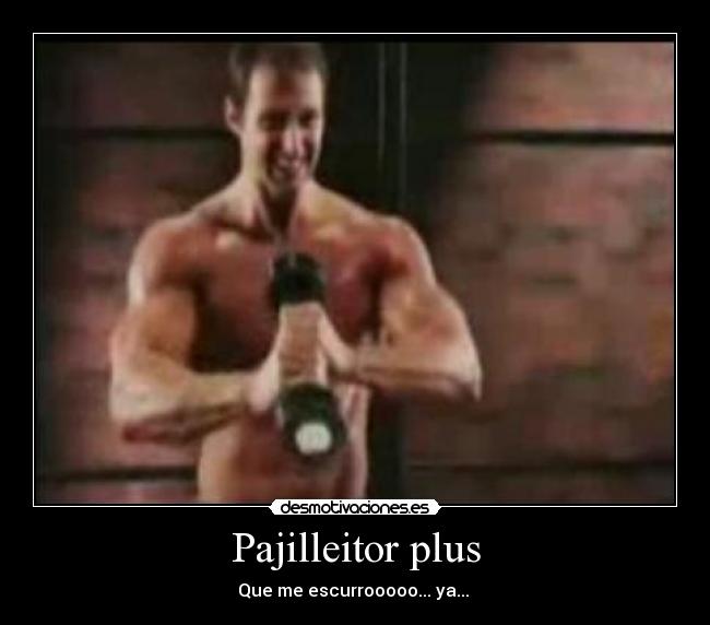 Pajilleitor plus -