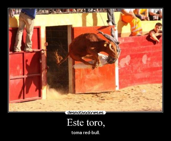 Este toro, - 