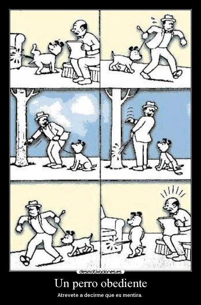 Un perro obediente - 