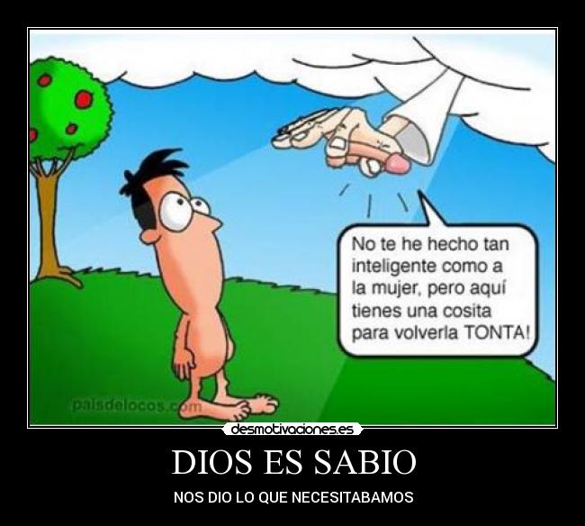 DIOS ES SABIO - NOS DIO LO QUE NECESITABAMOS