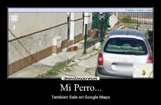 Mi-Perro...