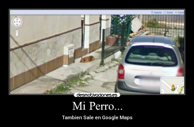 Mi Perro... - Tambien Sale en Google Maps