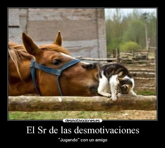 carteles desmotivaciones desmotivaciones jugar caballo desmotivaciones