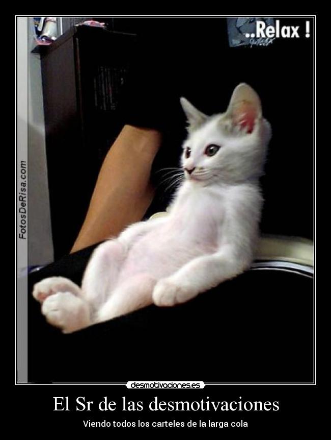 El Sr de las desmotivaciones - 