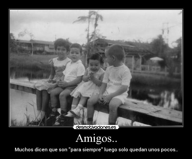 carteles amigos amigos desmotivaciones