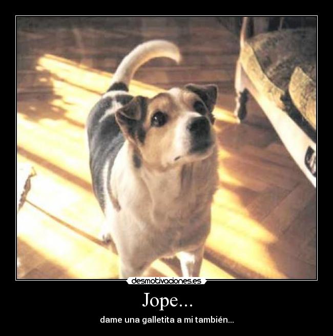 Jope... - dame una galletita a mi también...